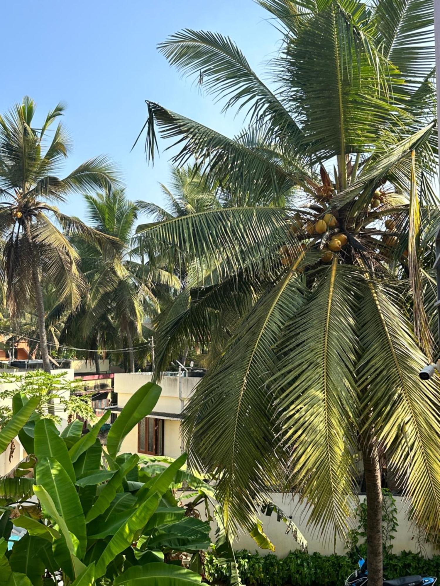 Santa Maria, Trivandrum - An Airport Boutique By The Sea Thiruvananthapuram Exterior foto